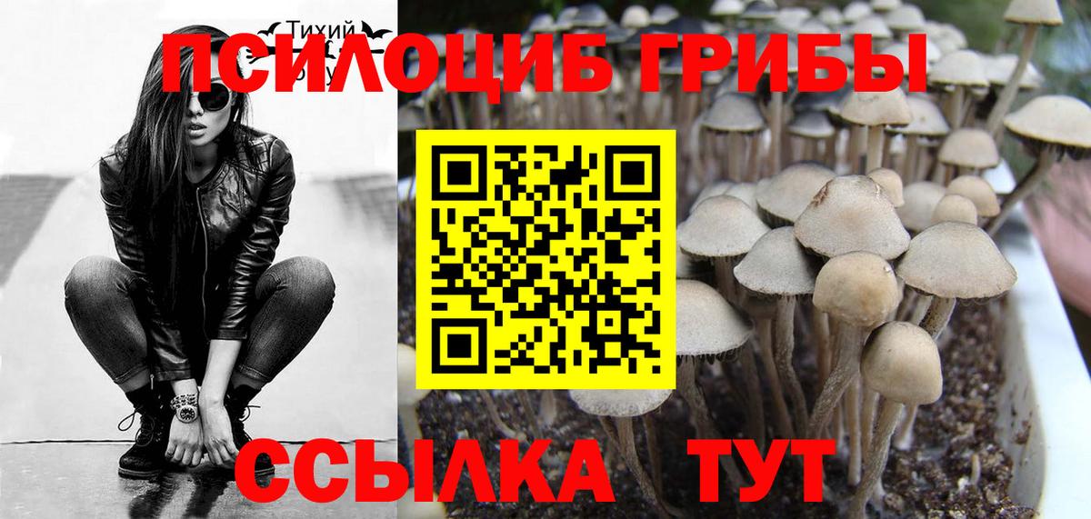 Похвистнево  Псилоцибиновые грибы мицелий  Галлюциногенные грибы Psilocybine cubensis  Вход с VPN 