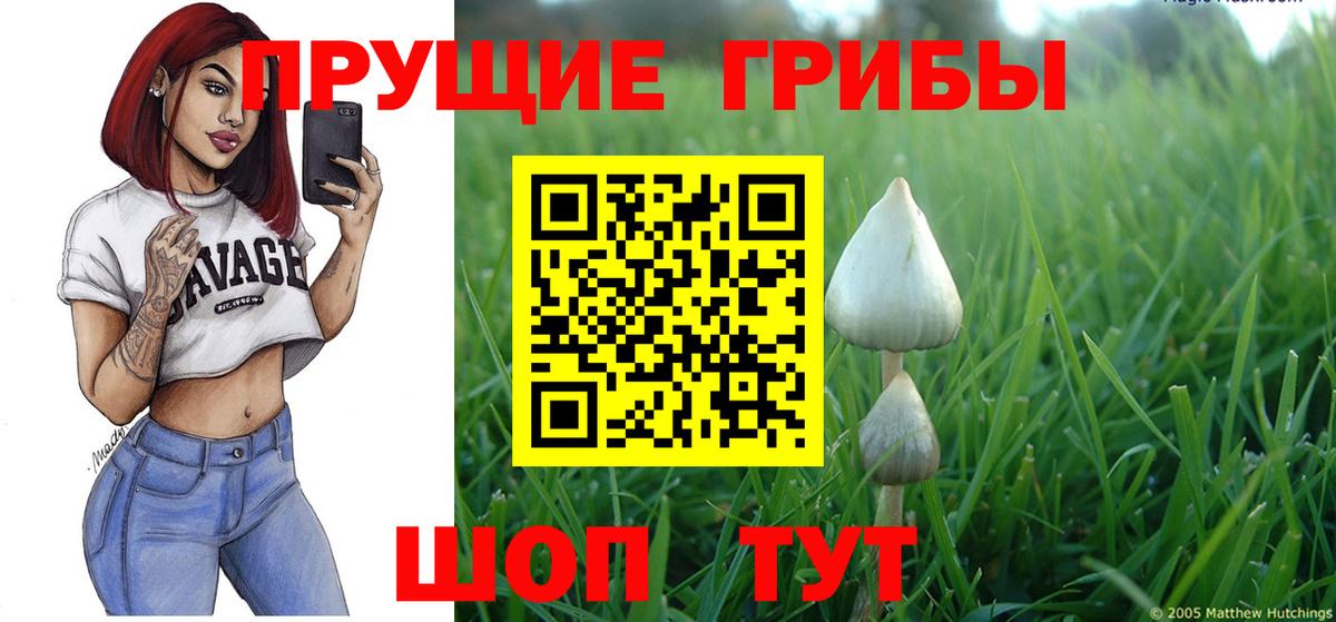 Галлюциногенные грибы Magic Shrooms Похвистнево